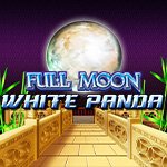 Full Moon: White Panda